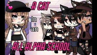 a Cat in an all Alpha School  {Glmm} English