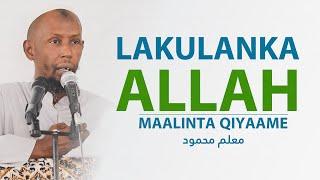 LAKULANKA ALLAH MAALINTA QIYAAME  MACALIN MAXAMUUD