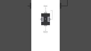 Physical Topology of a JFET