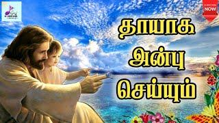 தாயாக அன்பு செய்யும் என்னுயிர் நீர் தானய்யா   Thaayaga Anbu Seiyum Tamil Christian song  lyrics 