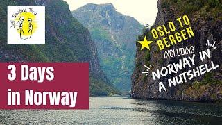 3 Days In Norway Oslo to Bergen including Norway in a Nutshell