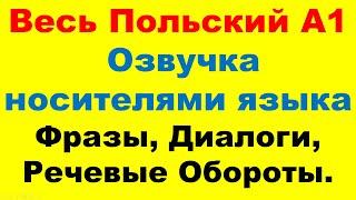 Весь Курс А1 в одном видео все 33 урока. Слуховая тренировка. Только на польском.