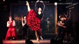 El espectacular reencuentro del flamenco con la escuela bolera