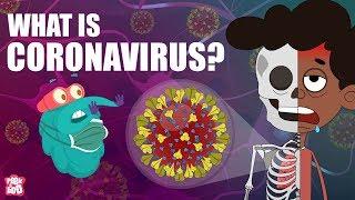 CORONAVIRUS  What Is Coronavirus?  Coronavirus Outbreak  The Dr Binocs Show  Peekaboo Kidz