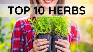 Top 10 Herbs to Grow and sell for Profit