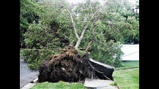 Tropical Storm Isaias 100s of downed trees & wires power outages luckily NO Homes damaged near us