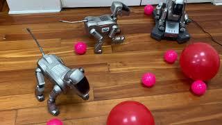 Aibo ERS-110 Extravaganza