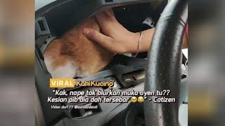 Viral Kakikucing  Oyen penakut Sorok dalam meter kereta