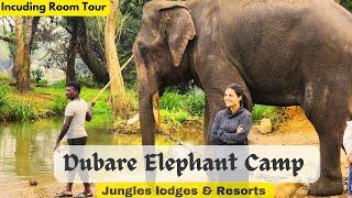 Dubare Elephant Camp  Jungle Safari and Luxury Stay at Jungle Resort  Exploring Coorg