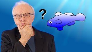 Rätsel des UNIVERSUMS Was weiß ein FISCH über das Wasser?  Astrophysik & Kosmologie #27