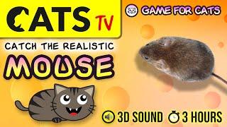 GAME FOR CATS  - The best MOUSE for CATS  3 HOURS  CATS TV 60FPS