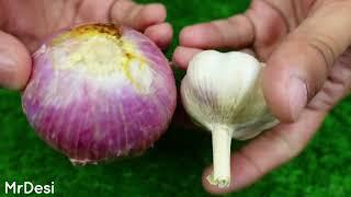 Garlic and Onion Recipe by Mrdesi  Yummy and Tasty Recipe  Quick and Easy Recipe