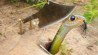 Find to make easy snake trap creative diy python snake trap make from knife in from of hole