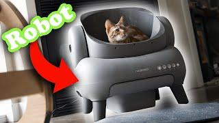 Is A Robot Cat Toilet Really Worth $500?