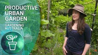 A highly productive small-scale urban garden  Urban Farming  Gardening Australia