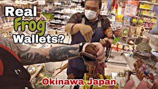 Real Frog Wallet Kokusai-dori Street in Okinawa Japan