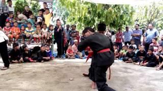 seni bela diri pencak silat melayu dari desa kesatuan