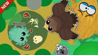 ULTRA RARE 15000 GOLDEN SHAHBAZ TROLLING IN MOPE.IO