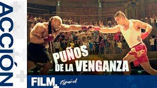 Puños de la Venganza  Película Completa Doblada  Acción  Film Plus Español