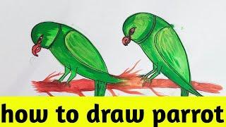 પોપટ કેવી રીતે દોરવો  How to draw parrot  Bird drawing  Draw parrot  Easy drawing