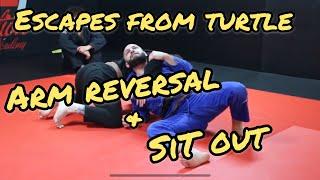 SPIN OUT & SIT OUT Escaping the Turtle Position when opponent has a Front Headlock