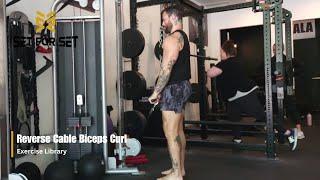 Reverse Cable Biceps Curl  SFS Exercise Library