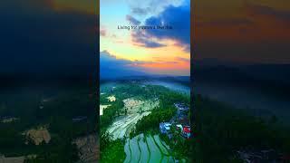 Munduk Village Indonesia  Village Drone shot  Bali travel vlog #shorts #indonesia #bali