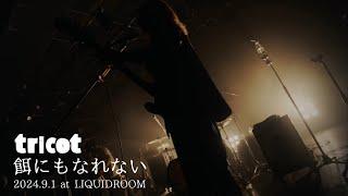 tricot 餌にもなれない Live Video  2024.9.1 at LIQUIDROOM