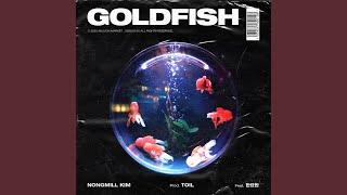 Goldfish Feat. Han Yo Han 금붕어의 꿈 Feat. 한요한