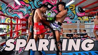 Muay Thai Sparring Yodpet Twins Intense Battle at Yokkao