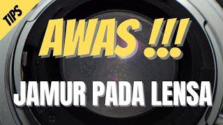 AWAS  Jamur Pada Lensa