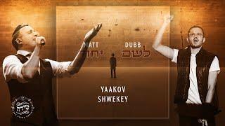 Matt Dubb & Yaakov Shwekey - Lshem Yichud  מאט דאב & יעקב שוואקי - לשם יחוד