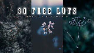 30 Free Cinematic Luts  Moody Luts Vn  Vn Luts  Cinematic Color Grading on Mobile