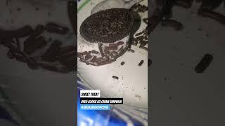 Vlog Oreo Cookie Ice Cream Sandwich #vlog #food #foodchannel #fyp #oreocookie