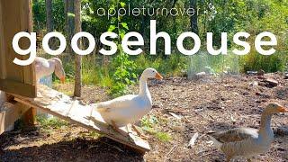 build a goosehouse and keep geese to create a resilient farm at appleturnover
