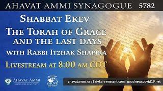 Worldwide Shacharit and Torah service for Parashat Ekev