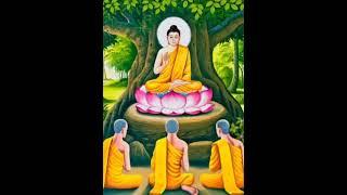 04.Mất đi đạt được sự tịch tĩnh #shorts #phapthuong #xuhuong #loiphatday #kinhphat #kinhphật #buddha