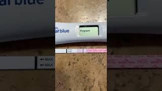 Positive pregnancy tests Clear Blue digital and Easy @home test 