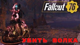 Fallout 76 ежедневные и еженедельные испытания. Убить волка