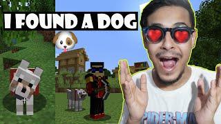 I Found a Dog  Minecraft Bangla Ep03  The Bong Guy