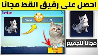 احصل على رفيق القط مجاناّ  هدية من الشركة للجميع   ببجي موبيل PUBG MOBILE