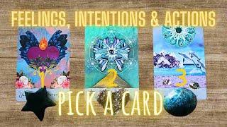  THEIR FEELINGS ACTIONS AND INTENTIONS Find out the truth PICK A CARD Love Tarot messages