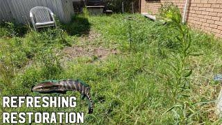 THIS PERSON WAS JUDGED FOR THEIR OVERGROWN LAWN SO I HELPED- YARD RESTORATION AND CLEAN UP PART TWO