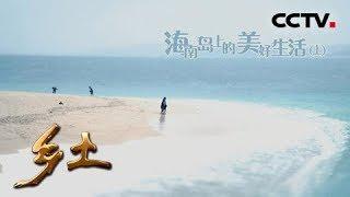 《乡土》 20180524 海南岛上的美好生活（上）  CCTV农业