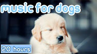 No Ads Music for Dogs 20 Hours of Gentle Calming Songs