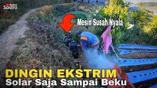 DINGIN EKSTRIM BAHAN BAKAR SOLAR MEMBEKU MESIN SUSAH NYALA