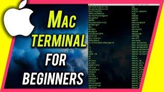 How To Use Terminal On Your Mac - Command Line Beginners Guide