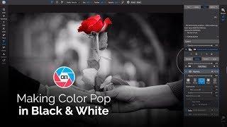Making Specific Colors Pop in a Black & White Photo