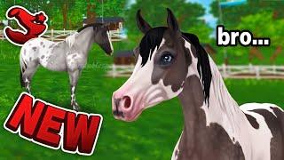 STAR STABLE SPOILERS - A TON OF NEW HORSES 