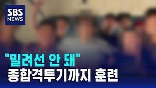 밀려선 안 돼 격투기 수련까지…MZ 조폭 무더기 검거  SBS